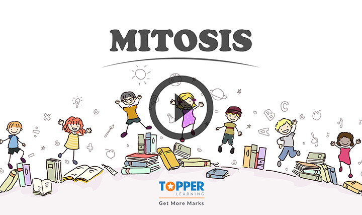 ICSE Class 10-Mitosis