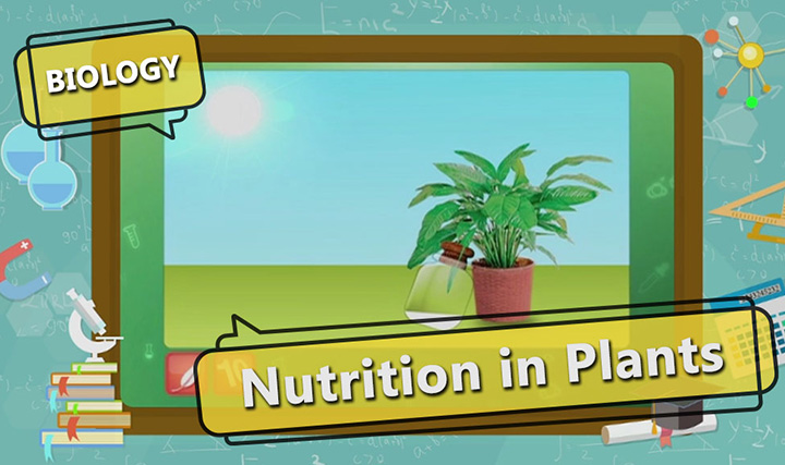 CBSE Class 10-Autotrophic Nutrition - Part  2