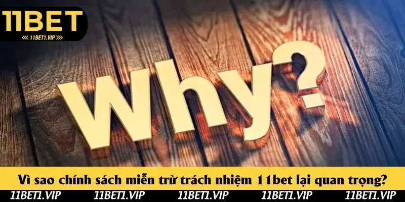 Vì sao chính sách miễn trừ trách nhiệm 11bet lại quan trọng?